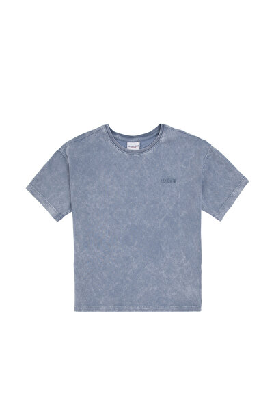 U.S. Polo Assn. Erkek Çocuk Mavi Tişört 50307308-VR036
