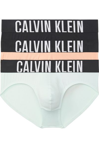 Calvin Klein Men Multicolored Brief Pack of 3
