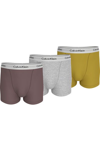 Calvin Klein Men Multicolored Trunk Pack of 3