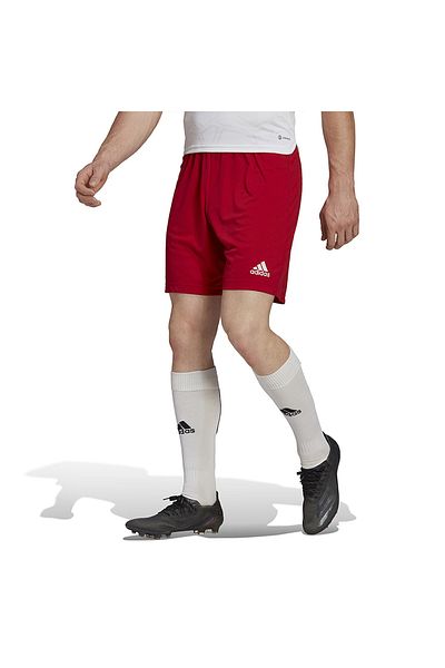 adidas Men's Red Shorts - H61735 Ent22 Sho