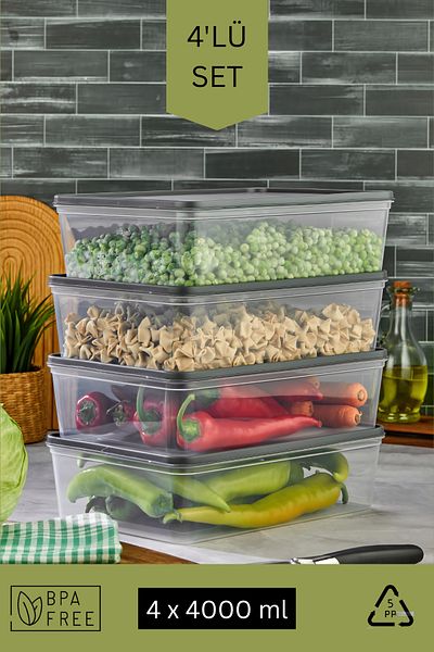 Espas Home Freshkeep Storage Container Set of 4 Suitable for Microwave and Deep Freezer - Gray / 4*4000 ml