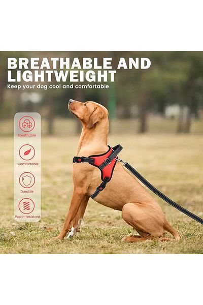 molshine reflective dog harness and leash set, oxford/nylon fabric, red/black, size L