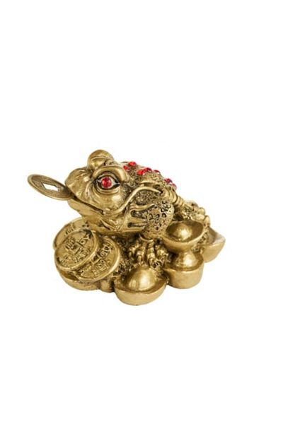 GOBI Feng Shui Lucky Frog GOBI with Red Stones and Coins, Talisman for Wealth, Luck in Love, and Prosperi