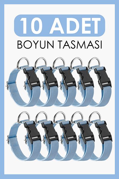 pasiole Set of 10 Dog Collars |   Adjustable, Durable, Handmade, Domestic Production