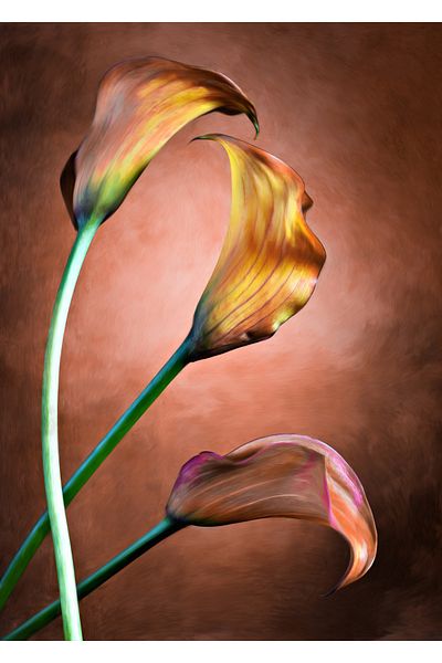 Harikabirev ΥΠΕΡΑΣΤΗ | ΡΕΤΡΟ ΜΟΝΤΕΛΟ «ARUM LILY» 02 | ΤΡΑΠΕΖΙ ΚΑΘΕΤΟ ΜΟΝΟ ΜΕ ΠΛΑΙΣΙΟ ΘΕΡΜΑΝΤΗΜΕΝΟ ΓΥΑΛΙ