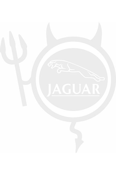 Image Car sticker, IMAGE, Dracusor JAGUAR, white, 19 x 21 cm