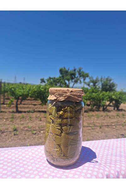 Egenin Yeşili Kuru Basım yaprak