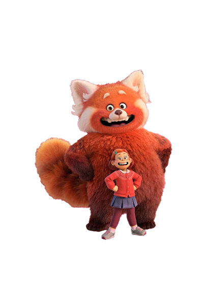 INOVATIX Σετ 8 τεμαχίων, Αυτοκόλλητο που Γίνεται Κόκκινο και Mei Lee, INOVATI...