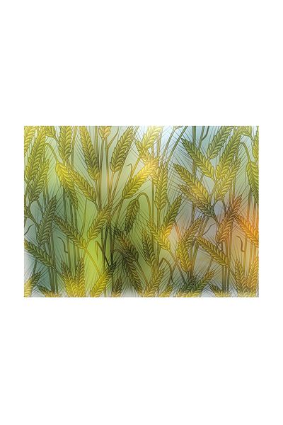 media Decorative self-adhesive window film, wheat ears, 8 m x 1 m