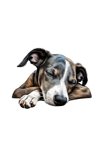 INOVATIX Set de 8 piese, autocolant Whippet, INOVATIX®. 6 cm