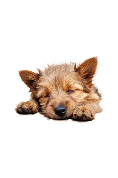 INOVATIX Σετ 8 τεμαχίων, Αυτοκόλλητο Αυστραλιανό Τεριέ, INOVATIX®. 6 εκ.