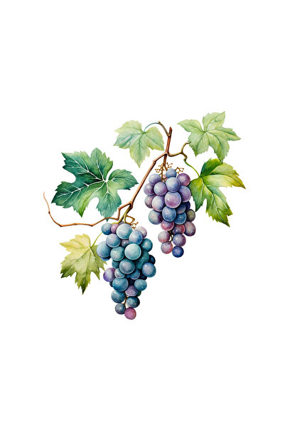 INOVATIX Set de 8 bucăți, autocolant cu struguri pentru vin roșu, INOVATIX®. ...