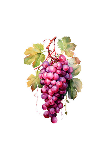 INOVATIX Set de 8 bucăți, autocolant cu struguri roșii, INOVATIX®. 6 cm