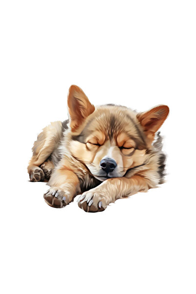 INOVATIX Set 8 piese, Sticker Swedish Vallhund, INOVATIX®. 6 cm