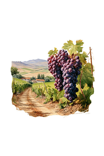 INOVATIX Set de 8 bucăți, autocolant struguri roz, INOVATIX®. 6 cm