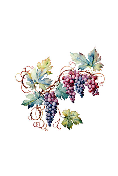 INOVATIX Set de 8 bucăți, autocolant struguri necopți, INOVATIX®. 6 cm