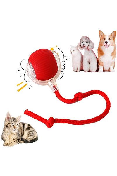 Sprise Interactive ball for cats and dogs