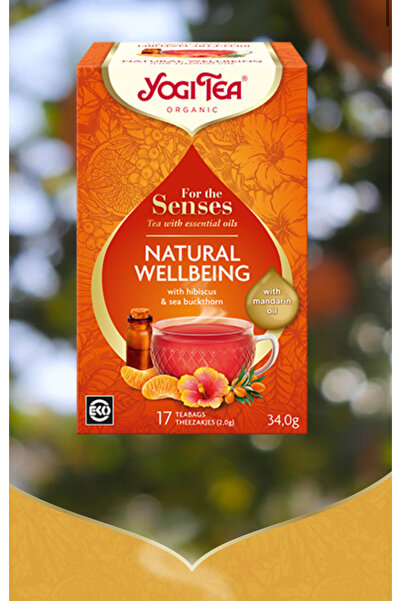 Yogi Tea Yogi Natural Wellbeing Mandalina Çayı