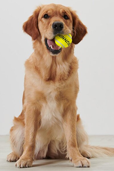 Tchibo قاذف كرات للكلاب مع كرة، أزرق داكن/أصفر