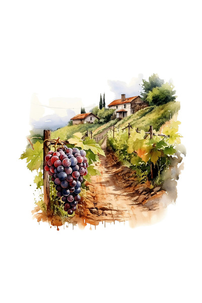 INOVATIX Set de 8 piese, autocolant Plantație de viță de vie, INOVATIX®. 6 cm