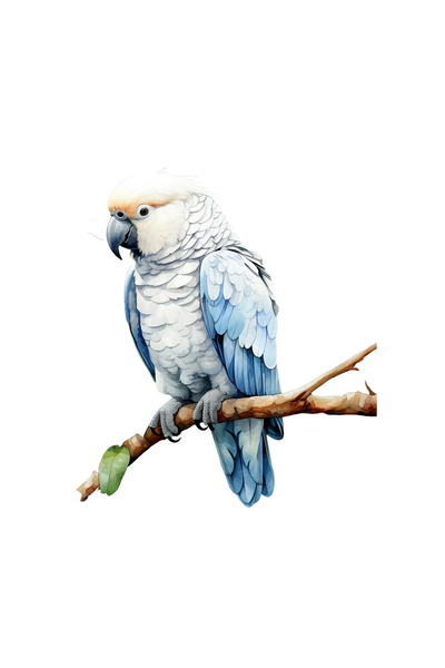 INOVATIX Σετ 8 τεμαχίων, Αυτοκόλλητο Λευκός Παπαγάλος σε κλαδί, INOVATIX®. 6 εκ.