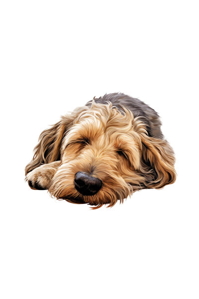 INOVATIX Σετ 8 τεμαχίων, Αυτοκόλλητο Otterhound, INOVATIX®. 6 εκ.