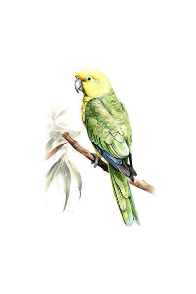 INOVATIX Σετ 8 τεμαχίων, Αυτοκόλλητο Πράσινου Παπαγάλου, INOVATIX®. 6 εκ.