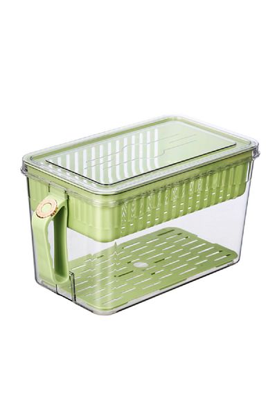 Felli Refrigerator Container with Handle Green and Clear