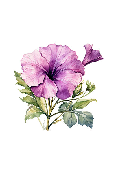 INOVATIX Set de 8 bucăți, autocolant petunie roz violet, INOVATIX®. 6 cm