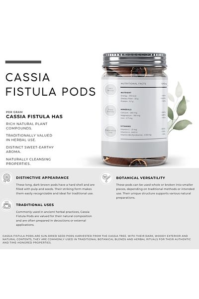 AWAFI MILL Cassia Fistula Pods | Whole Golden Shower Tree Pods - (Bottle of 100 gram / 3.5 Oz)