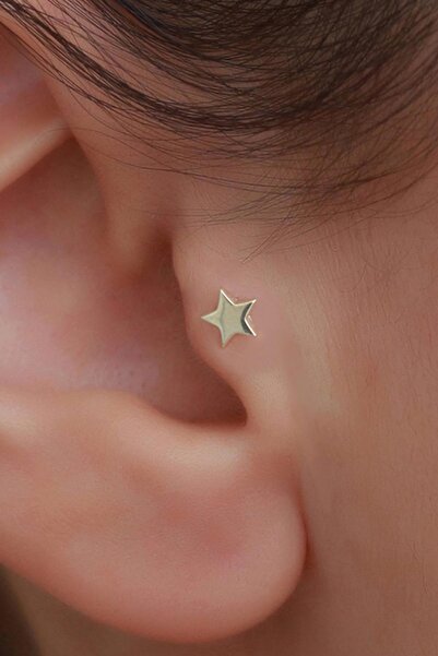 Bayar Gold 14 Ayar Altın Yıldız Tragus Piercing