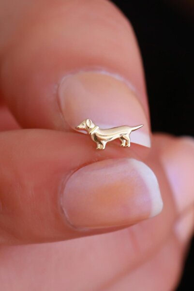 Bayar Gold 14 Ayar Altın Köpek Motifli Tragus Piercing