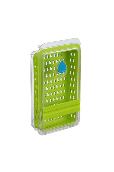 Felli Dew Fresh Herb and Produce Storage Container Green and Clear