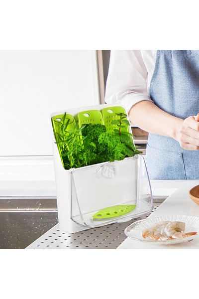 Felli Trio All in One Freezer Safe Fresh Herb Snap Closure Storage Container White and Green