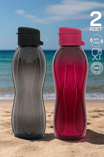 HOMENIVA 2 Pack Eco Bottle Water Bottle - Practical Lid Flask 2x 750 ml Black - Purple