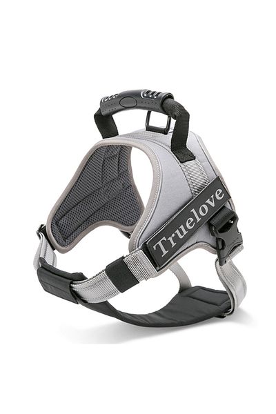 True Love Gray Chest Collar with Oxford Fabric and Flexible Soft Sponge