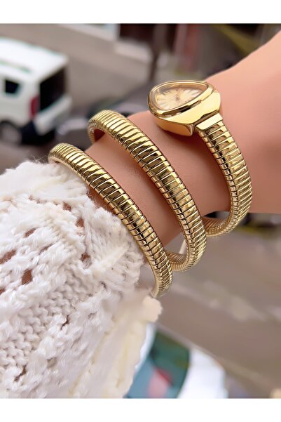 Ferrucci ÇELİK KORDON YILAN MODEL KADIN KOL SAATİ 2 YIL GARANTİLİ 3 ATM SU GEÇİRMEZ