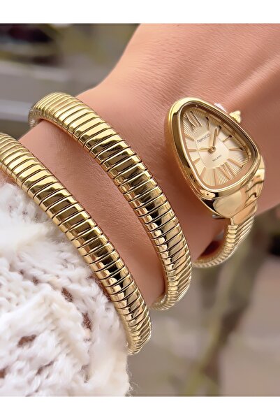 Ferrucci ÇELİK KORDON YILAN MODEL KADIN KOL SAATİ 2 YIL GARANTİLİ 3 ATM SU GEÇİRMEZ