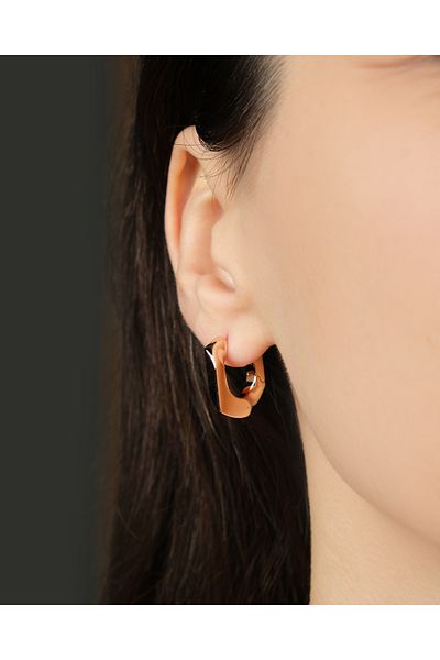 Lekka Design Women's Non-Tarnish Steel Luxury Stylish Combination Earrings