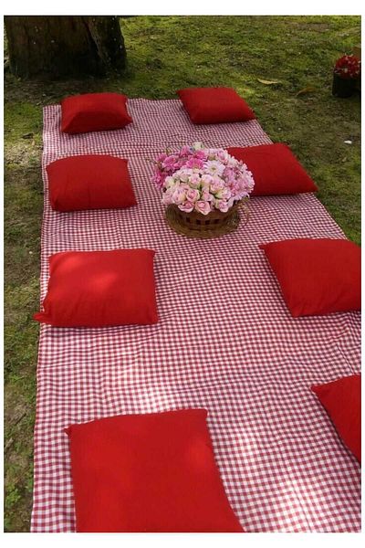 Hobizer 4-Piece Picnic Set – Cover 2 Throw Pillow Sleeve Picnic Bag – Stylish and Portable