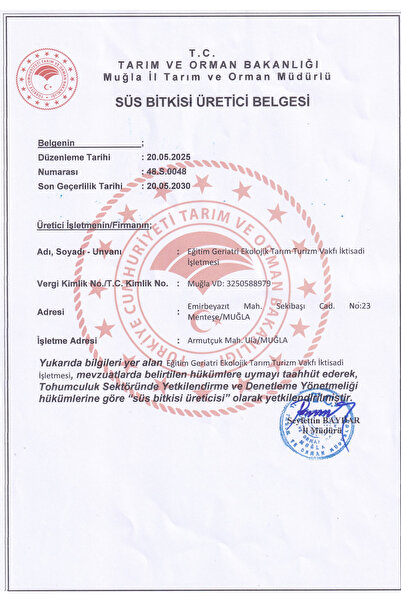 EGET Organik Arbequina Zeytin Fidanı