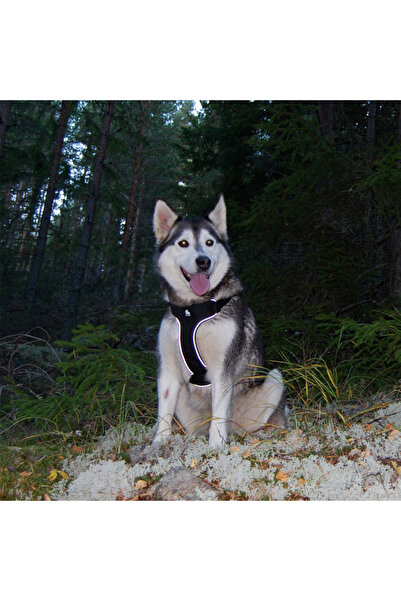 True Love Oxford Kumaşlı, Siyah-gri Mesh Göğüs Tasması