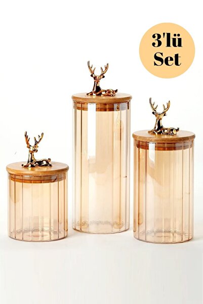 HUBBYCHEF Cam Kavanoz Silikon Bambu Kapaklı Color Kavanoz 3lü Set