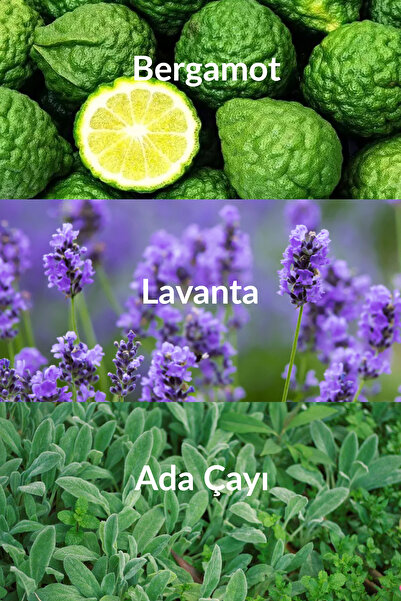 AVON Today Men's Perfume Edt 75 Ml.