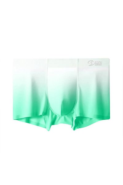 Eces Design Seamless Ice Silk Sweat Removing Sports Special Design Men's Underwear 1 Piece 1000 Boxers