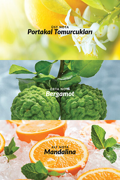 AVON Rare Gold Kadın Parfümü Edp 50 Ml.