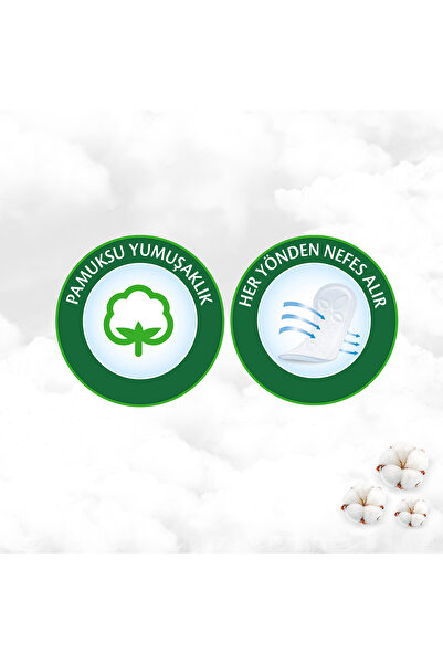 Molped Pure&soft Daily Pad 128 Pieces