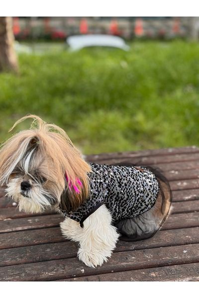 For a Fur Dog T-Shirt Dress Black Sequined Tulle Skirt Cat Dress