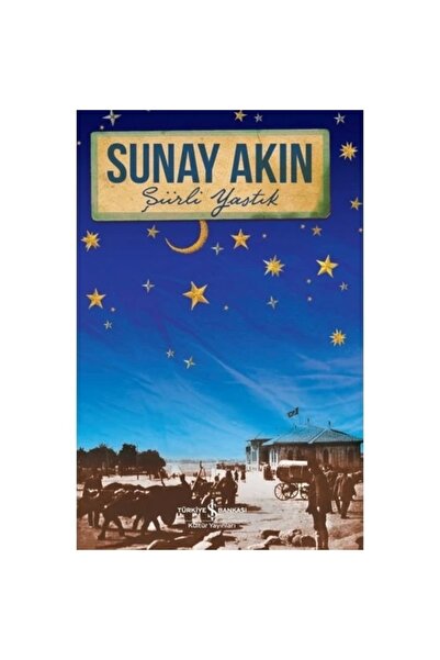TÜRKİYE İŞ BANKASI KÜLTÜR YAYINLARI Şiirli Yastık Sunay Akın Iş Bankası Kültü...