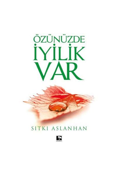 Çınaraltı Yayınları You Have Goodness in You / / Sıtkı Aslanhan